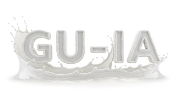 GlobalUniverse IA Pixel 00294